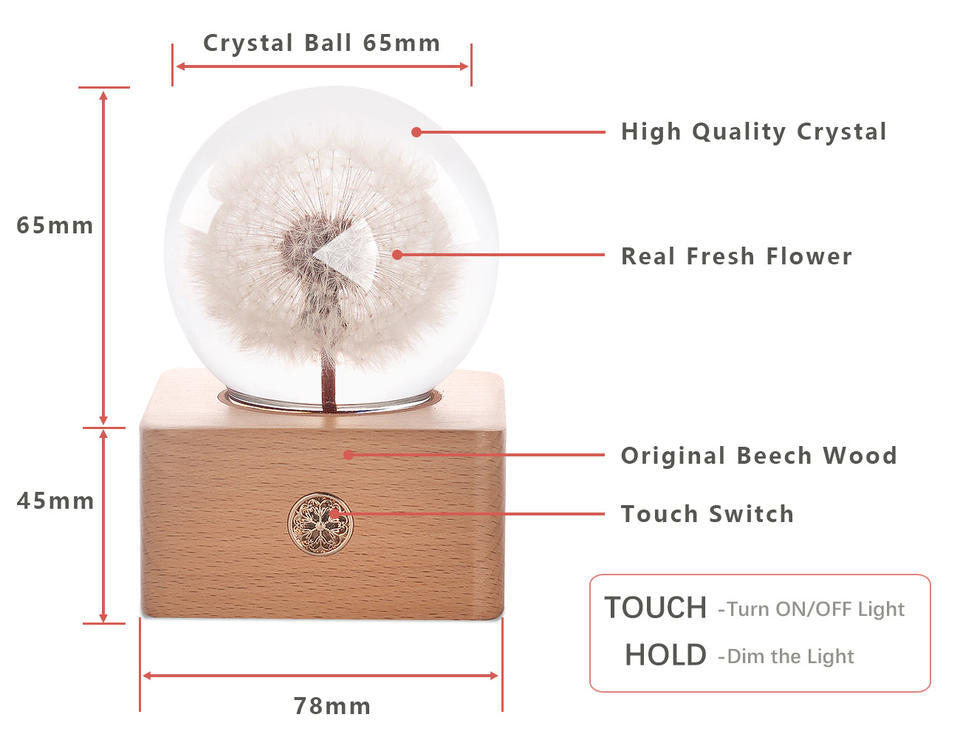 **Executive Luxe Gift Set™**